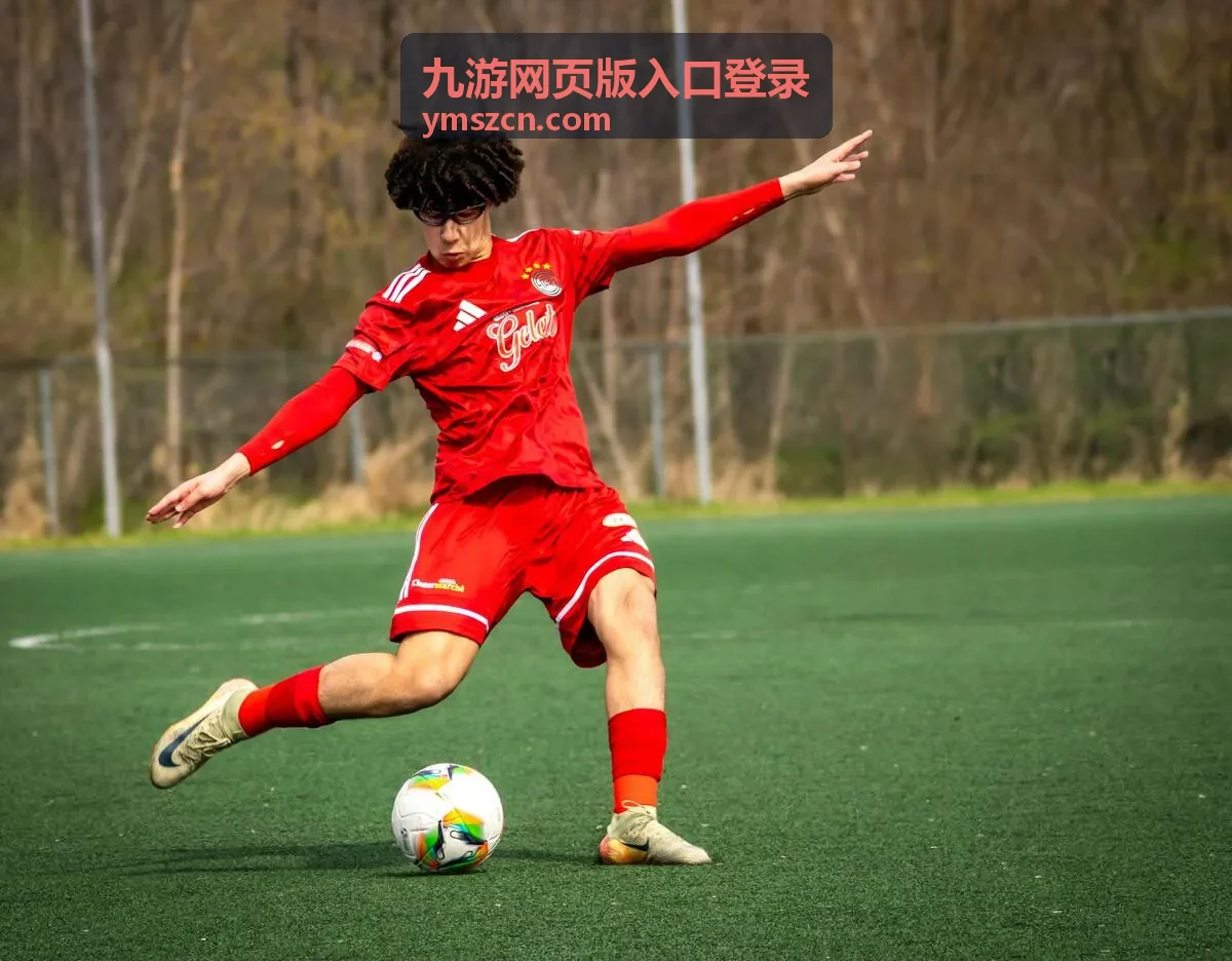 九游网页版登录页面在手机浏览器中的显示效果