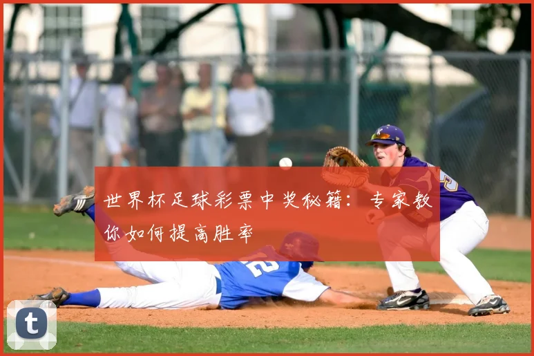 世界杯足球彩票中奖秘籍：专家教你如何提高胜率