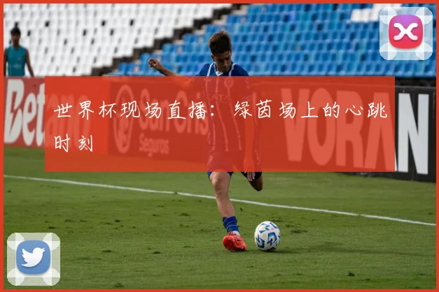 世界杯现场直播：绿茵场上的心跳时刻
