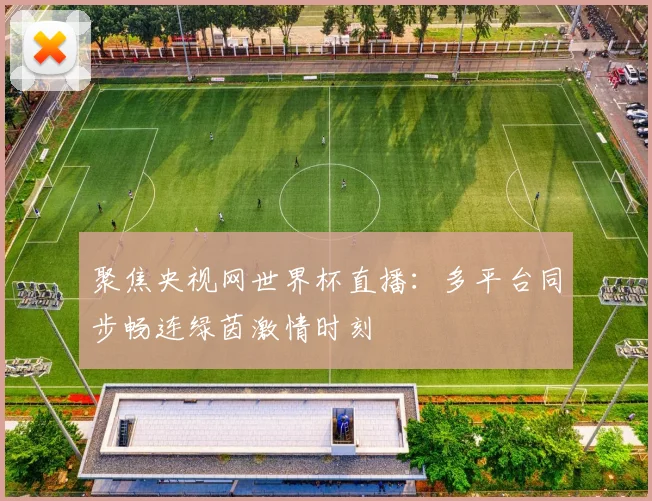 聚焦央视网世界杯直播：多平台同步畅连绿茵激情时刻