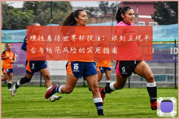 理性看待世界杯投注：识别正规平台与防范风险的实用指南